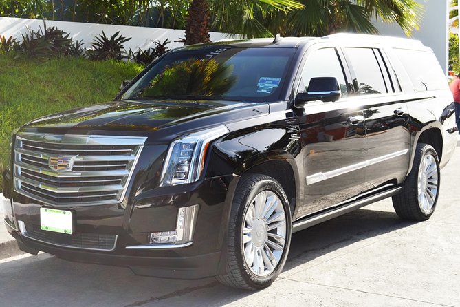 Private Departure Luxury Transfer: Hotels to La Romana International Airport - Inclusions and Services