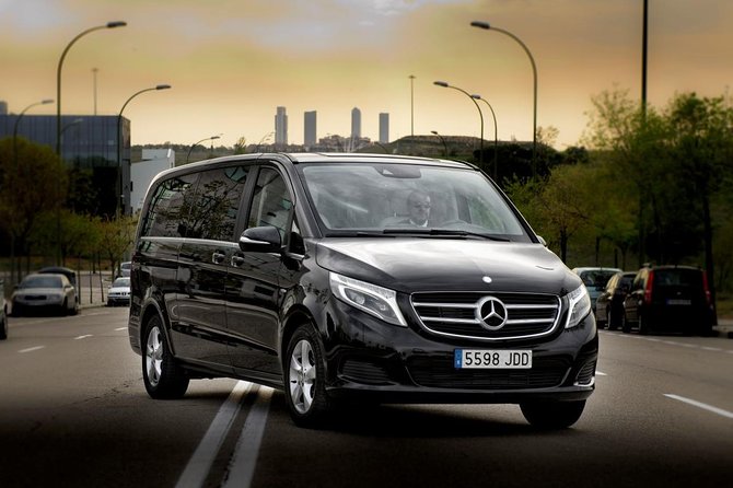 Private Departure Transfer From Brussels City to Brussels Airport by Luxury Van - Accessibility and Accompanied Children
