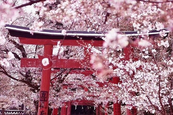 Private Departure Transfer From Central Osaka City to Itami Airport (Itm) - Booking Details