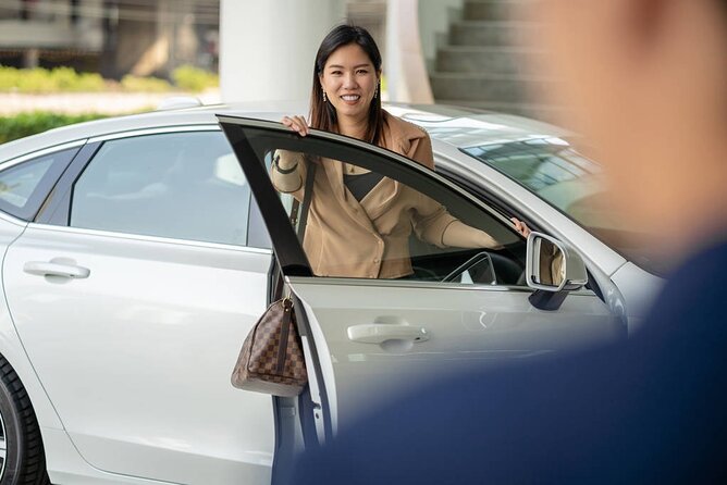 Private Departure Transfer: From Hotel in Hoian to Danang International Airport - Overview and Inclusions