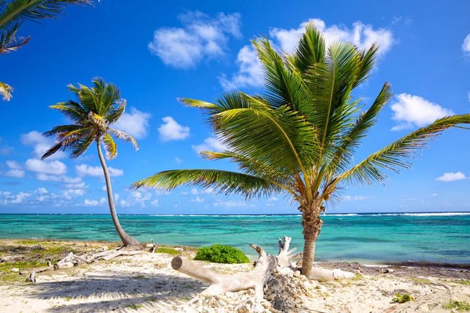 Private Departure Transfer From Punta Cana to Punta Cana Airport (Puj) - Overview and Inclusions