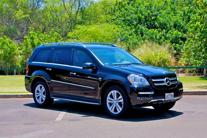 Private Departure Transfer: Maui Hotels to Maui Kahului Airport - Inclusions