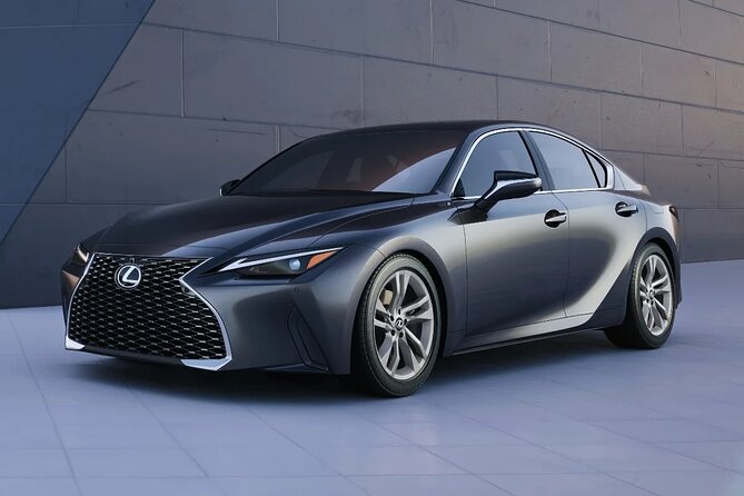 Private Departure Transfer to DXB Airport From Dubai City Hotels - Good To Know