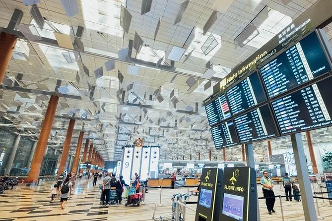 Private Departure Transfer : Tokyo Disney Resort to Narita International Airport - Accessibility and Special Needs