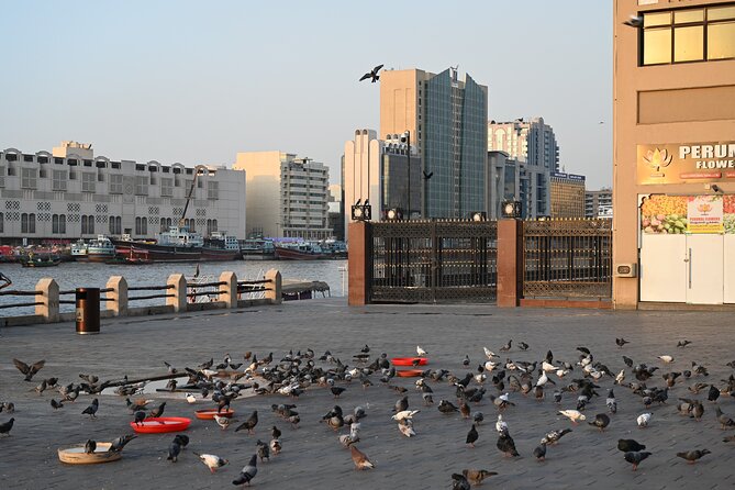 Private Desert Safari and City Tour Combo in Dubai - Pricing and Value