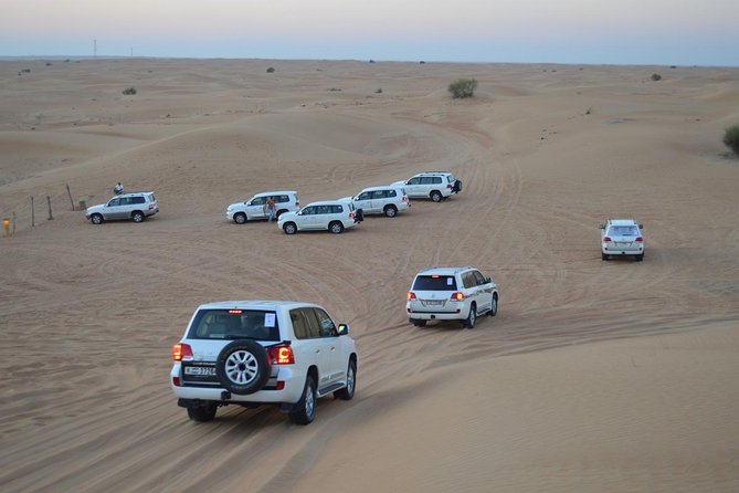 Private Desert Safari From Dubai: Including Buffet Dinner and Live Entertainment - Exciting Activities Included