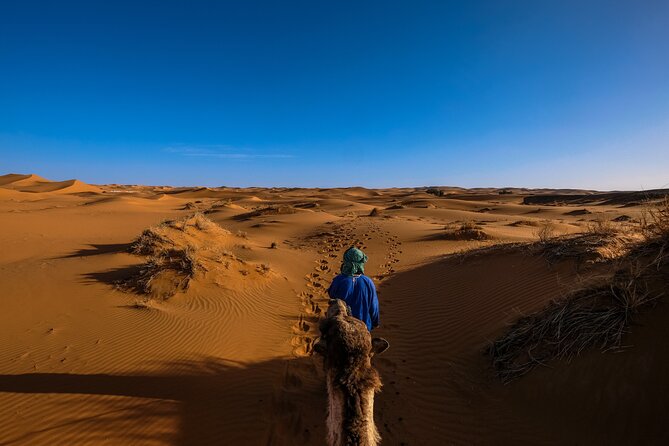 Private Desert Safari Half Day(4hrs) Inland Sea Visit Camel Ride - Questions and Contact