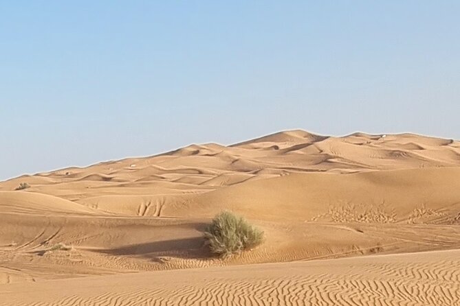 Private Desert Safari in Dubai With Pickup - Affordable Pricing Options