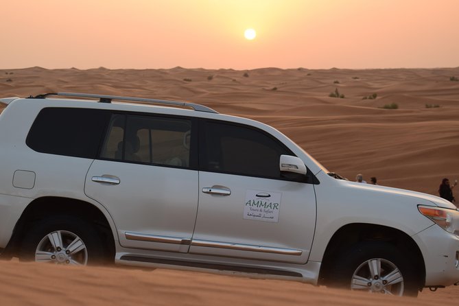 Private Desert Safari Red Dune With BBQ, Sand Boarding and Camel Ride - Overview of Desert Safari Experience