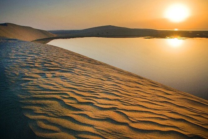 Private Desert Safari, Sand Dunes Bashing and Inland Sea Visit - What to Expect on a Private Desert Safari