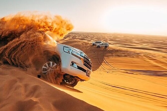 Private Desert Safari Tour in Dubai - Meeting and Pickup
