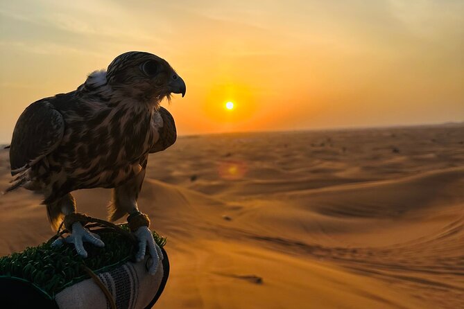 Private Desert Safari With ATV Quad Bike - Directions