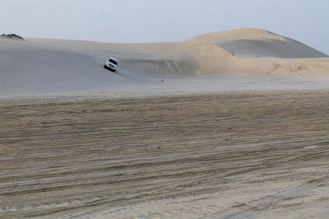 Private Desert Safari With BBQ Lunch/Dinner at Souk Al Wakra Tour - Common Questions