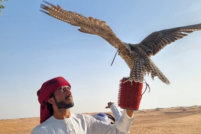 Private Desert Safari With Camel Ride and BBQ Dinner in Bedouin Camp - Reviews