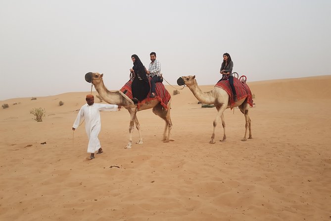Private Desert Safari With Camel Ride and BBQ in Dubai - Common Questions