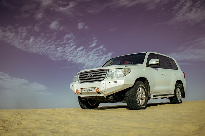 Private Desert Safari With Free Camel Ride & Falcon Photo Snap - Desert Safari Overview