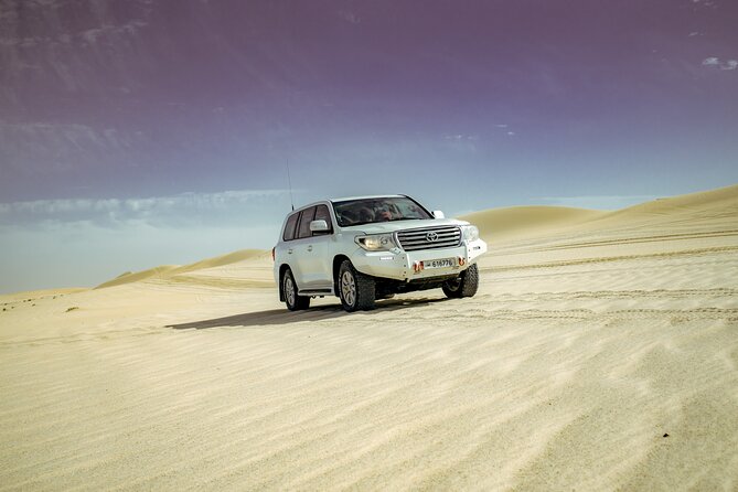 Private Desert Safari With Free Camel Ride & Falcon Photo Snap - Included Activities