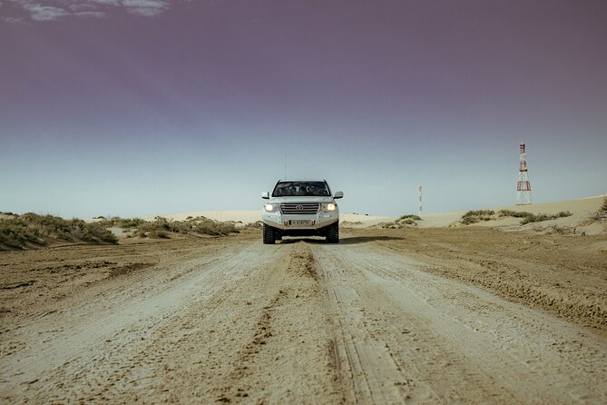 Private Desert Safari With Free Camel Ride & Falcon Photo Snap - Pricing and Group Size