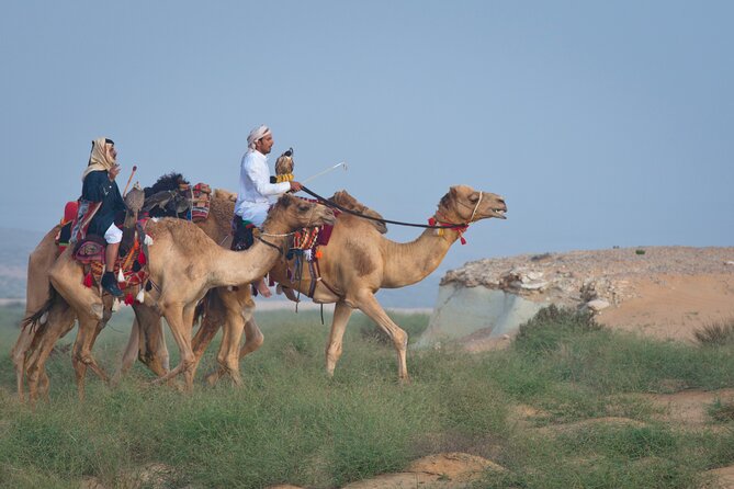 Private Desert Safari With Free Camel Ride & Falcon Photo Snap - Additional Information on Cancellations