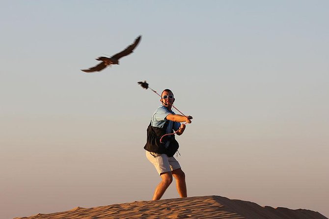 Private Desert Safari With Private Falcon Show With Sunset Setup Experience - Exclusive Falcon Show Experience