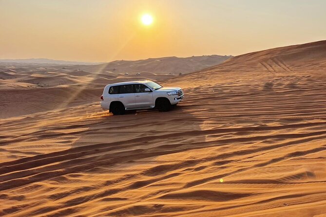 Private Desert Sandboarding Camel Riding and Dune Bashing - The Sum Up