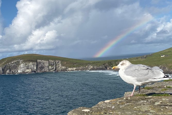 Private Dingle and Slea Head - Common Questions