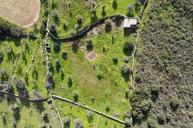 Private Dining in the Olive Grove - Authenticity of Reviews