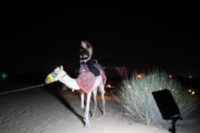 Private Dinner in Dubai Desert With Camel Ride and VIP Set up - The Sum Up
