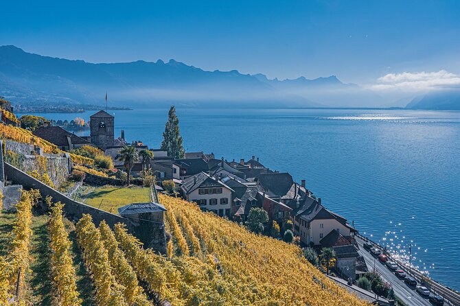Private Direct Transfer From Lyon to Geneva - Drop-off Point