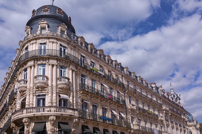 Private Direct Transfer From Lyon to Montpellier - Private Direct Transfer Details