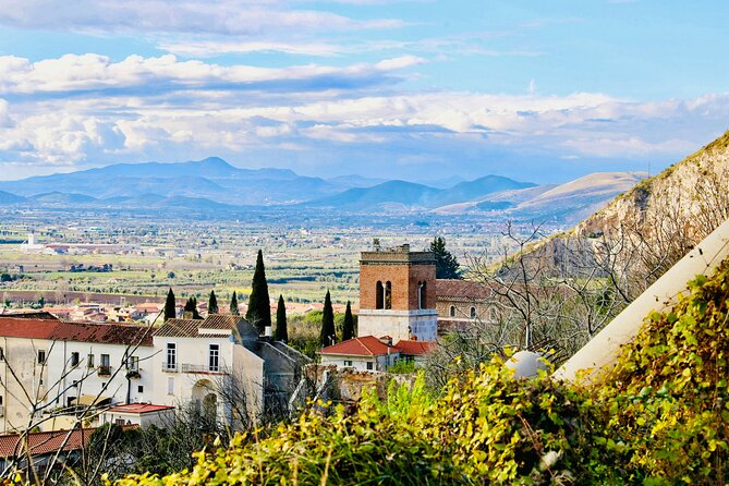 Private Direct Transfer From Naples to Caserta With Local Driver - Additional Considerations