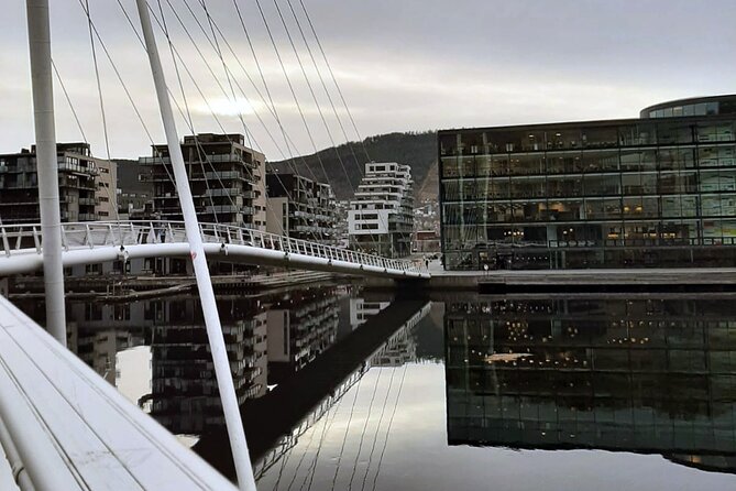 Private Direct Transfer From Oslo to Drammen - Overview of the Private Direct Transfer