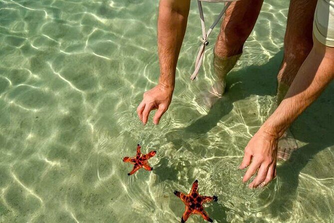 PRIVATE Discover Phu Quoc Local life and Starfish Beach & Lunch - Introduction