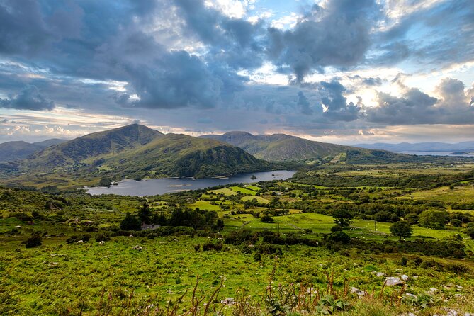 Private Discover Ring of Beara Tour in a Limousine From Killarney - Price and Copyright
