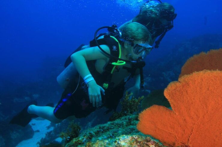 Private Discover Scuba Diving Class 1 - 2 People - Experience Details