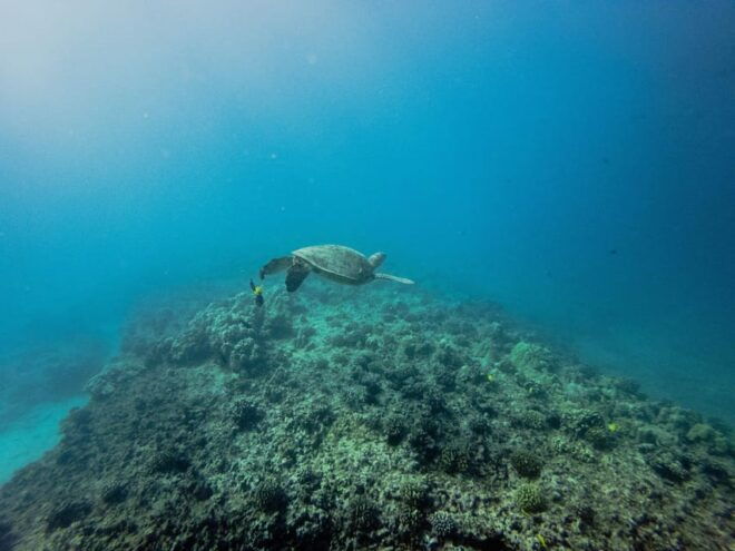 Private Discover Scuba Diving Class 1 - 2 People - Meeting Point and Directions