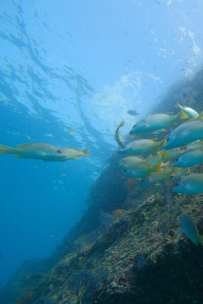 Private Discover Scuba Diving Class 1 - 2 People - Frequently Asked Questions