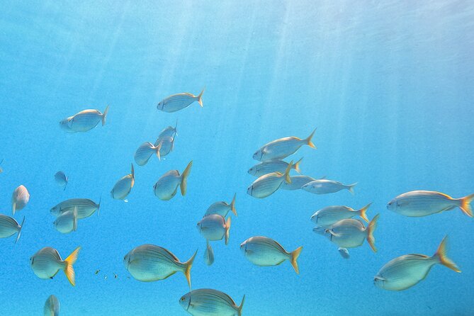 Private Discover Scuba Diving - Private Instructor and Transportation