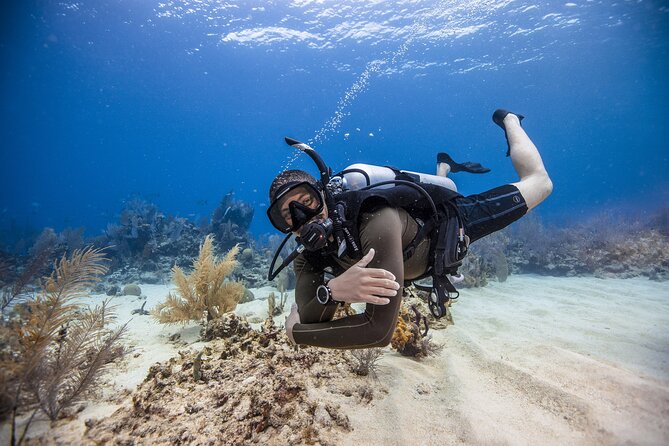 Private Discover Scuba Diving - Cancellation Policy and Refunds