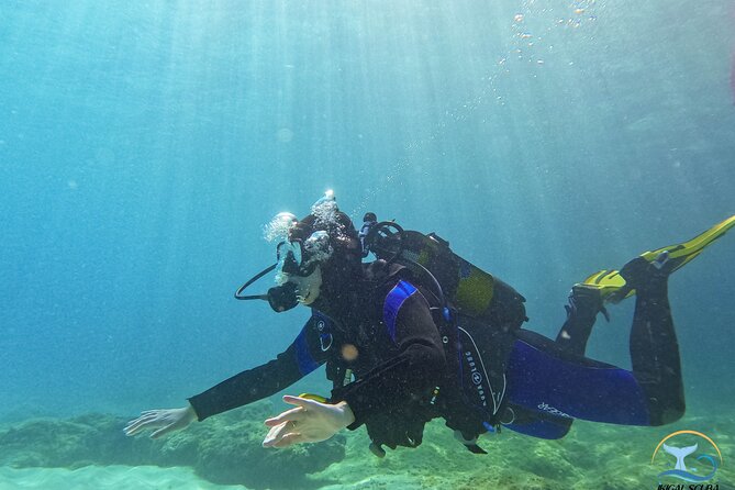 Private Discover Scuba Diving - Meeting and Pickup Details