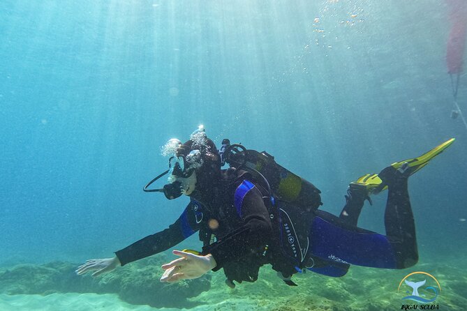 Private Discover Scuba Diving - The Sum Up