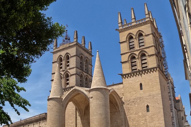 Private Discovery of Montpellier by Bike-Taxi - Visitor Impressions
