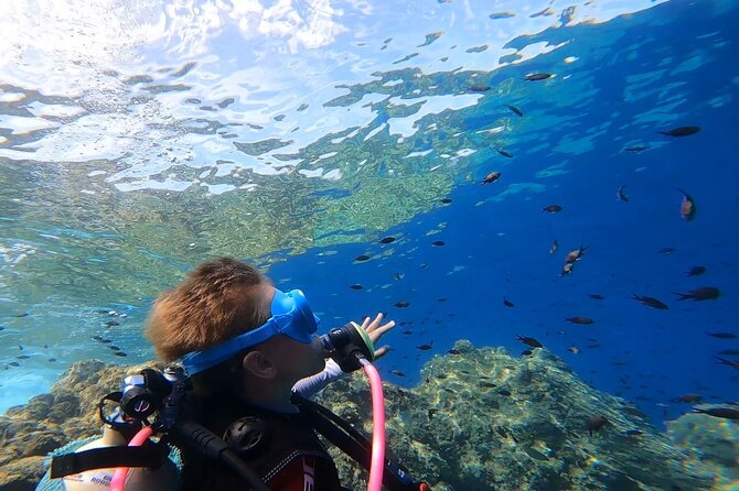Private Discovery of Scuba Diving in Estérel - Directions and Pricing