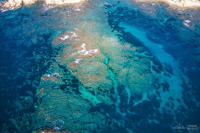 Private Discovery of Scuba Diving in Estérel - The Sum Up