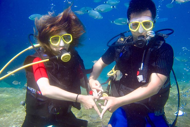 Private Discovery Scuba Diving in Blue Lagoon Oludeniz - What to Expect