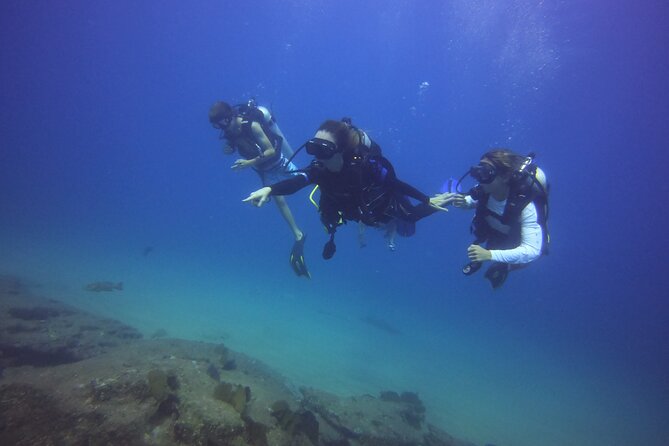 Private Dive Boat for Certified Divers - Cabo San Lucas - Overview and Tour Details