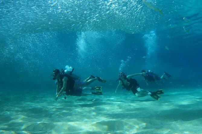 Private Dive Boat for Certified Divers - Cabo San Lucas - Inclusions and Pricing