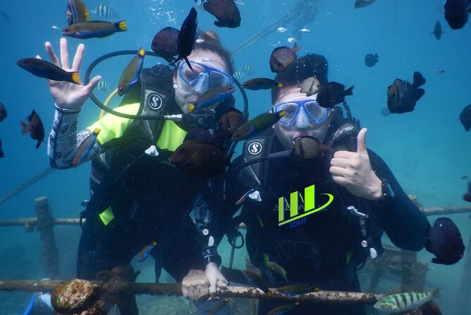 Private Diving Experience in Nusa Dua With Hotel Pick up - Pricing and Booking Details