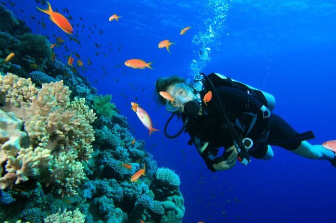 Private Diving Experience in Nusa Dua With Hotel Pick up - Inclusions and Services