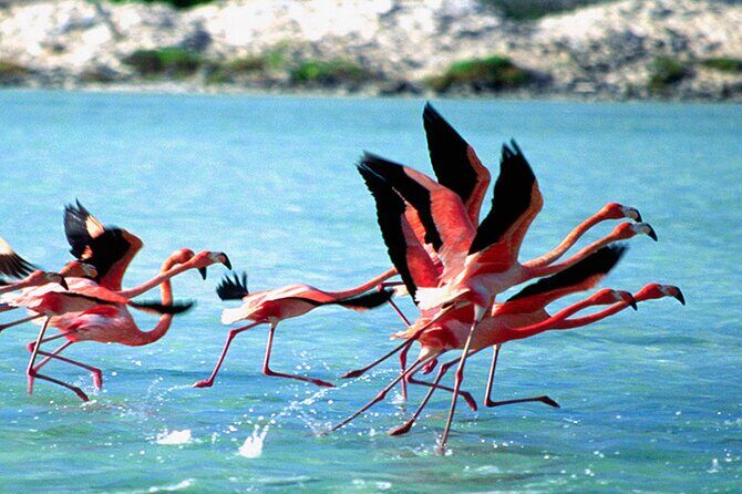 Private Diving & Southside tour - What’s Included and What to Expect